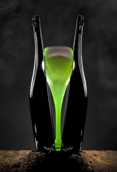 Champagne METEYER Pre & Fils - Cuve Orgasmique