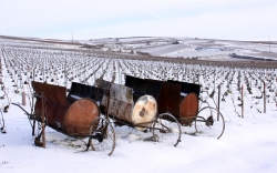 Champagne METEYER Père & Fils - Vignes sous la neige. Champagne METEYER Père & Fils - Vignes sous la neige.