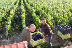 Champagne METEYER Père & Fils - Loading Champagne METEYER Père & Fils - Loading