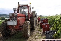 Champagne METEYER Père & Fils - Transportation Champagne METEYER Père & Fils - Transportation