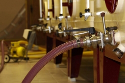 Champagne METEYER Père & Fils - Sortie du jus de la cuve. Champagne METEYER Père & Fils - Sortie du jus de la cuve.