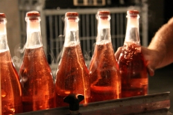 Champagne METEYER Pre & Fils - Freezing the sediment.