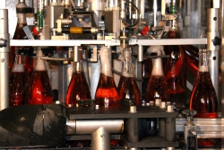 Champagne METEYER Pre & Fils - Disgorgement.