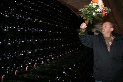 Champagne METEYER Pre & Fils - Bouquet - lucky charm.