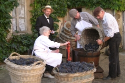 Champagne METEYER Pre & Fils - Weighing