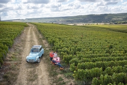 Champagne METEYER Père & Fils -  Champagne METEYER Père & Fils -