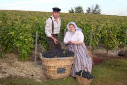 Champagne METEYER Pre & Fils - Sorting