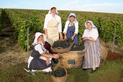 Champagne METEYER Pre & Fils - Peeling