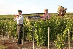 Champagne METEYER Pre & Fils - Carrying