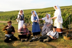 Champagne METEYER Pre & Fils - Meal in the vineyard