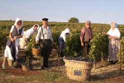 Champagne METEYER Pre & Fils - Traditional clothes