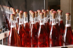 Champagne METEYER Pre & Fils -  Production and processing methods.