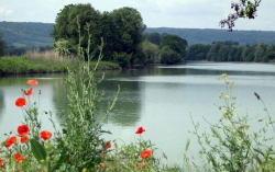 Champagne METEYER Pre & Fils - Marne River