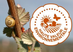 Champagne METEYER Pre & Fils - 