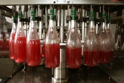 Champagne METEYER Père & Fils - Remplissage des bouteilles. Champagne METEYER Père & Fils - Remplissage des bouteilles.