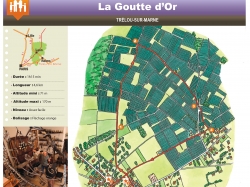 Champagne METEYER Père & Fils - La Goutte d'Or Champagne METEYER Père & Fils - La Goutte d'Or