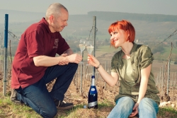 Champagne METEYER Père & Fils -  Champagne METEYER Père & Fils -