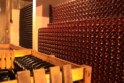Champagne METEYER Père & Fils - Bouteilles dans la cave. Champagne METEYER Père & Fils - Bouteilles dans la cave.