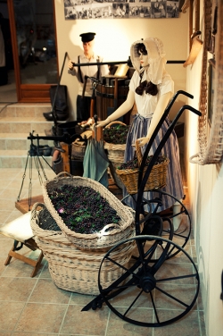 Champagne METEYER Pre & Fils - Scne de vendange.