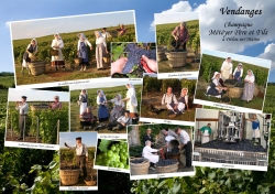 Champagne METEYER Pre & Fils - 