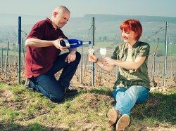 Champagne METEYER Pre & Fils - 