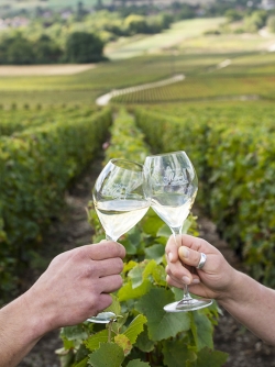 Champagne METEYER Pre & Fils - 