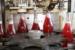Champagne METEYER Père & Fils - Capsulage. Champagne METEYER Père & Fils - Capsulage.