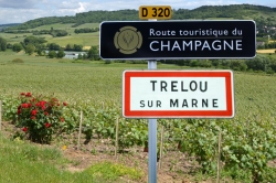 Champagne METEYER Père & Fils - Vineyard Champagne METEYER Père & Fils - Vineyard