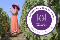 Champagne METEYER Pre & Fils - 