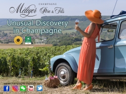 Champagne METEYER Pre & Fils - 